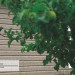 Сайдинг Ю-Пласт TIMBERBLOCK Пихта (Тимберблок) Cахалинская купить в Владикавказе