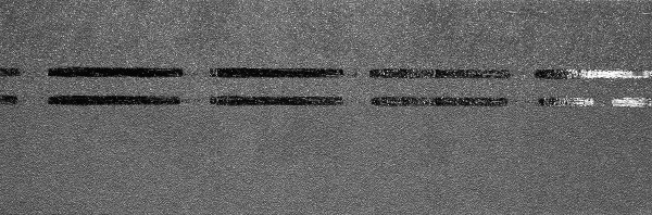 Коньково-карнизная черепица Docke Premium, черника купить в Владикавказе